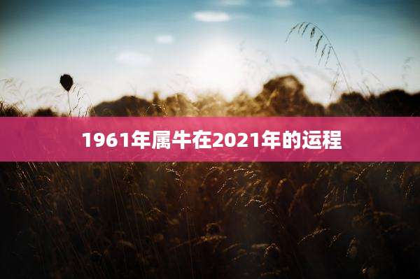 1961年属牛在2021年的运程