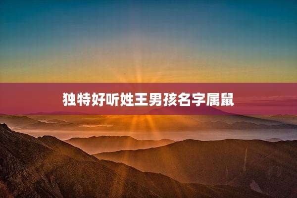 独特好听姓王男孩名字属鼠