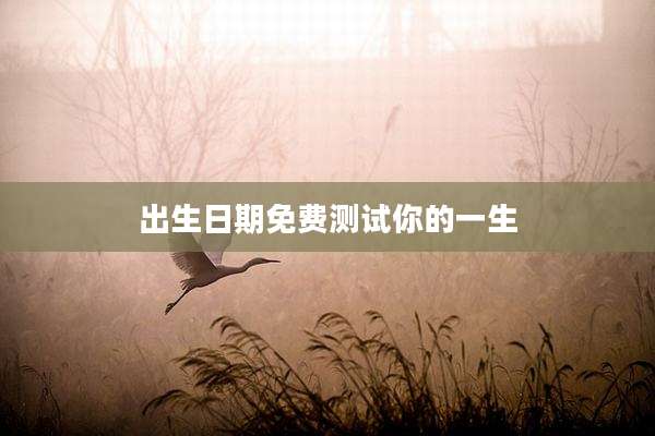 出生日期免费测试你的一生