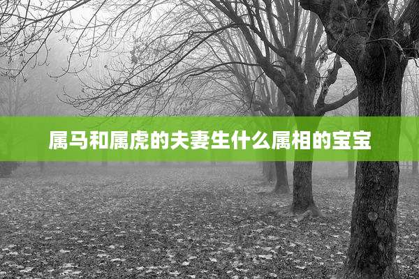 属马和属虎的夫妻生什么属相的宝宝