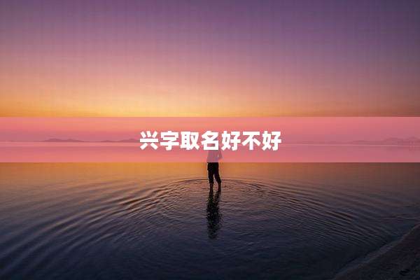 兴字取名好不好