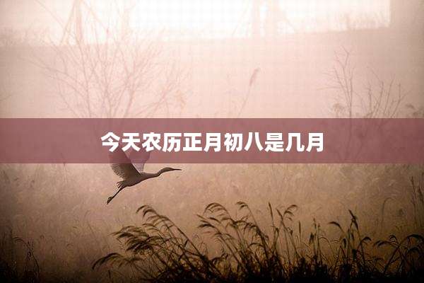 今天农历正月初八是几月