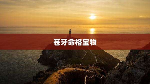 苍牙命格宝物