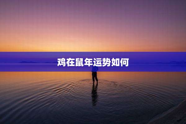 鸡在鼠年运势如何