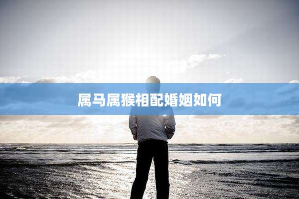 属马属猴相配婚姻如何