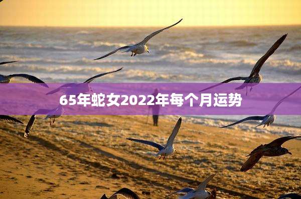65年蛇女2022年每个月运势