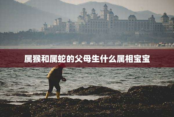 属猴和属蛇的父母生什么属相宝宝