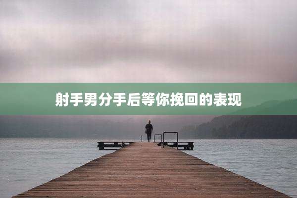 射手男分手后等你挽回的表现