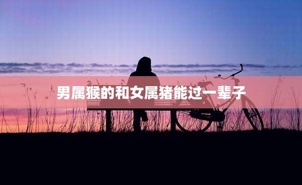 男属猴的和女属猪能过一辈子