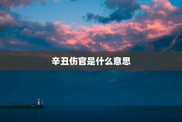 辛丑伤官是什么意思