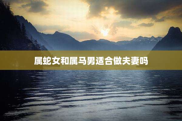 属蛇女和属马男适合做夫妻吗