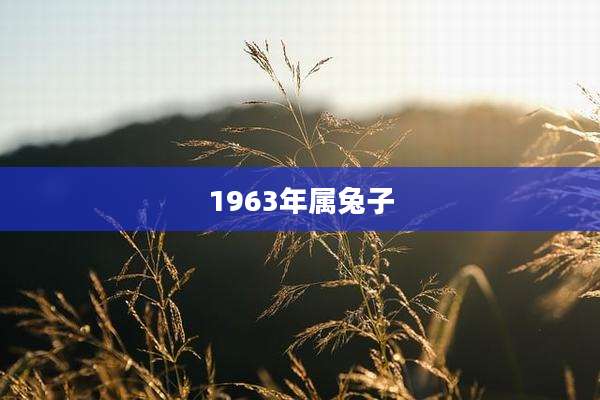 1963年属兔子