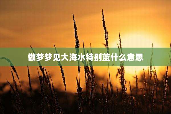 做梦梦见大海水特别蓝什么意思