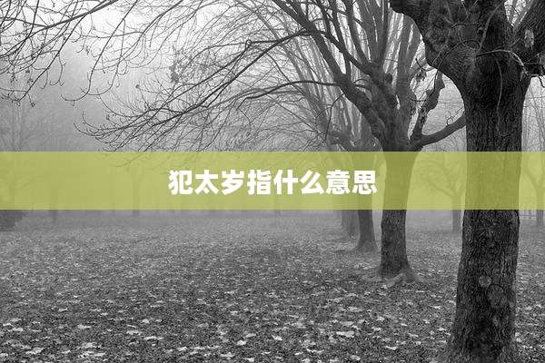 犯太岁指什么意思