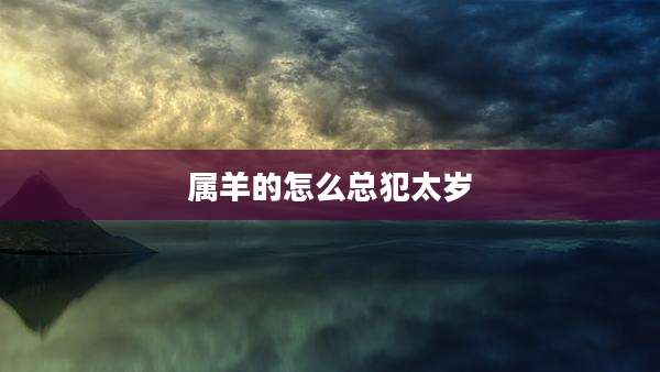 属羊的怎么总犯太岁