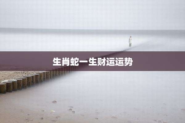 生肖蛇一生财运运势