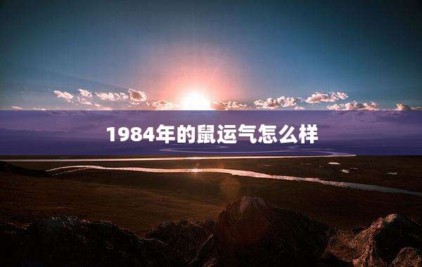 1984年的鼠运气怎么样