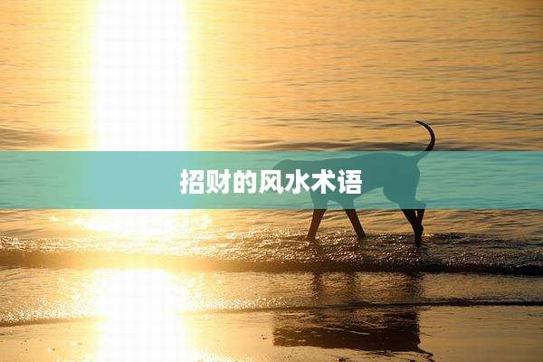 招财的风水术语