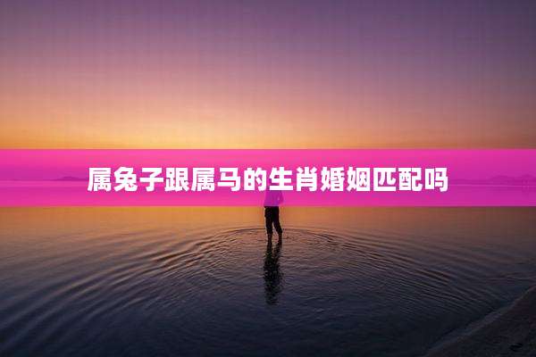 属兔子跟属马的生肖婚姻匹配吗