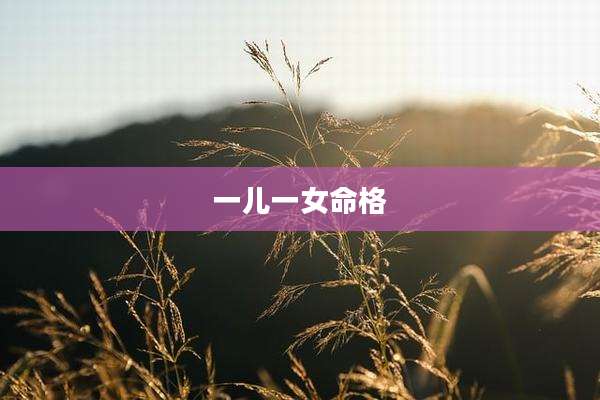 一儿一女命格