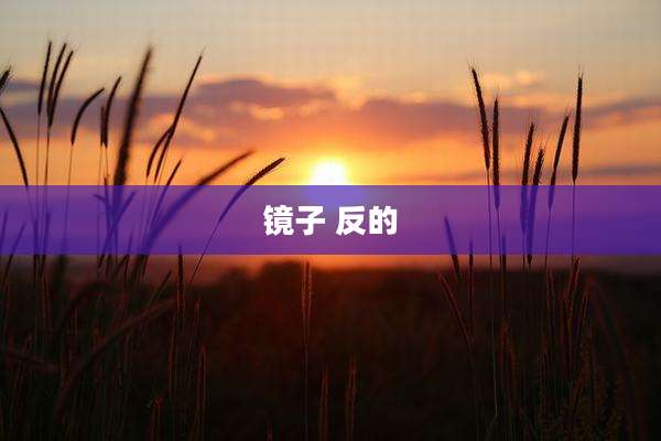 镜子 反的