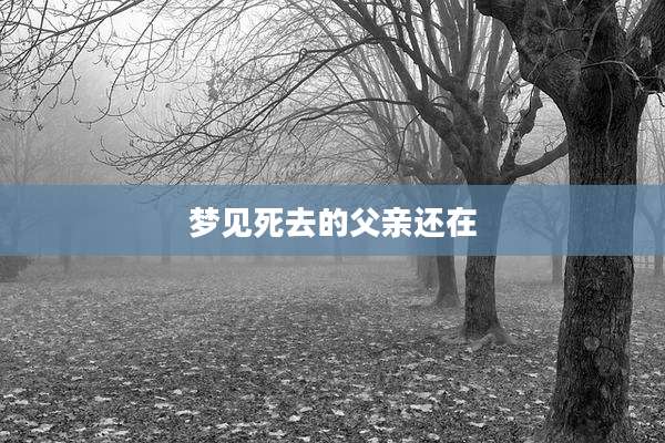 梦见死去的父亲还在
