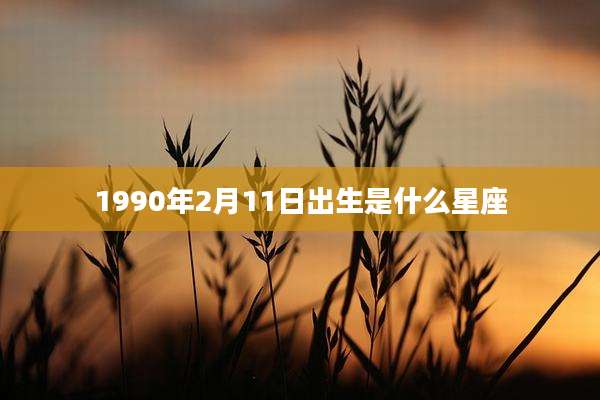 1990年2月11日出生是什么星座