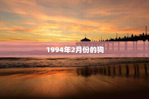 1994年2月份的狗