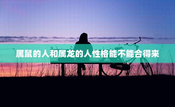 属鼠的人和属龙的人性格能不能合得来