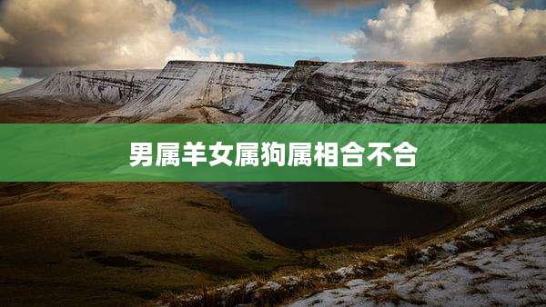 男属羊女属狗属相合不合