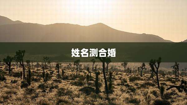 姓名测合婚