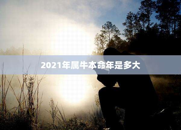 2021年属牛本命年是多大