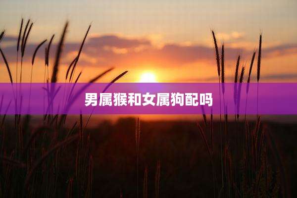 男属猴和女属狗配吗