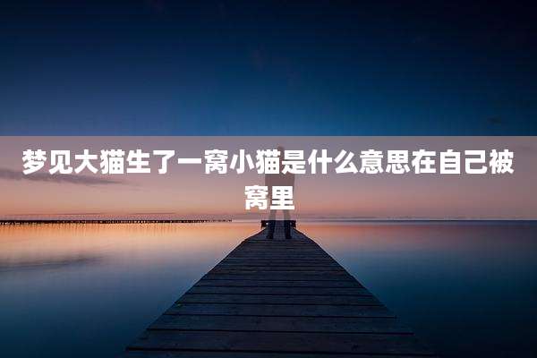 梦见大猫生了一窝小猫是什么意思在自己被窝里