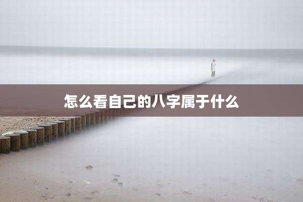 怎么看自己的八字属于什么