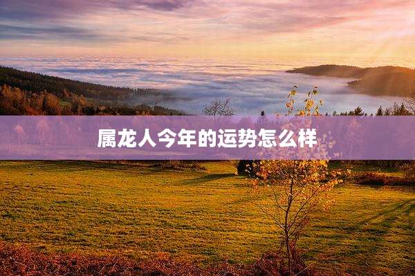 属龙人今年的运势怎么样