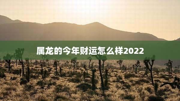 属龙的今年财运怎么样2022