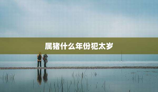 属猪什么年份犯太岁