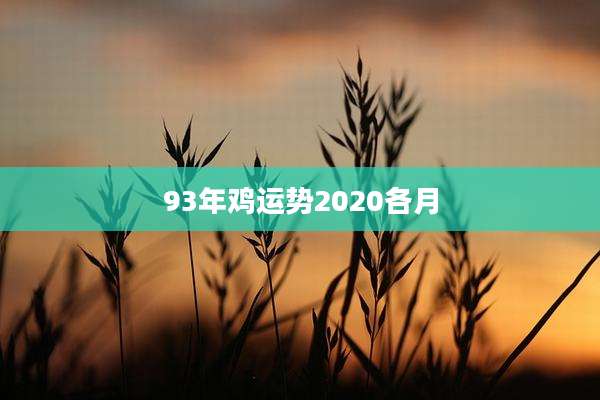 93年鸡运势2020各月
