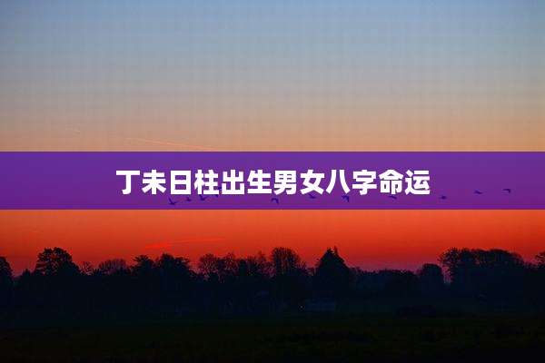 丁未日柱出生男女八字命运