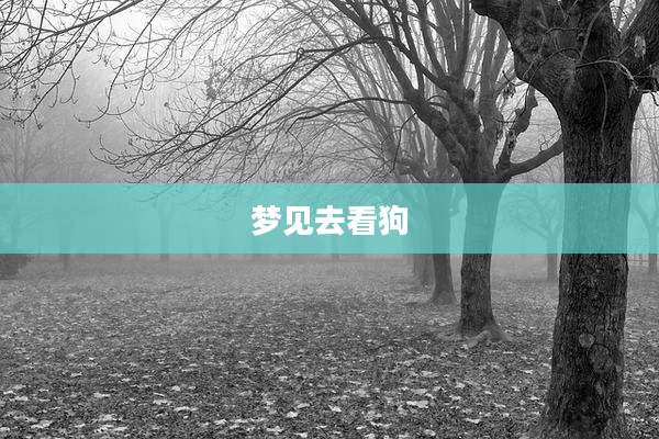 梦见去看狗