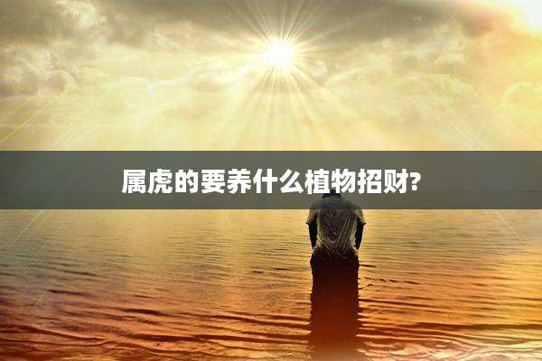 属虎的要养什么植物招财?