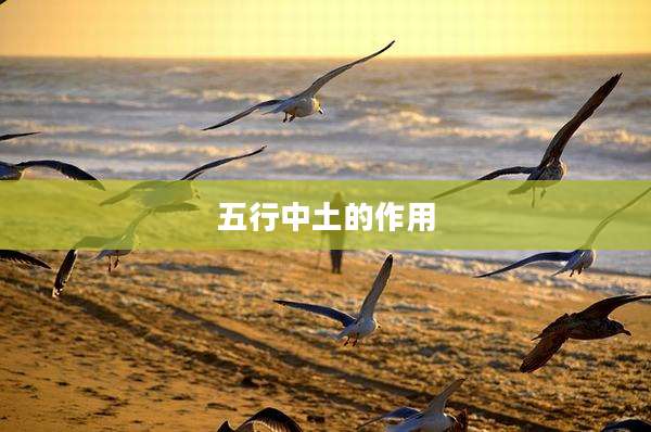 五行中土的作用