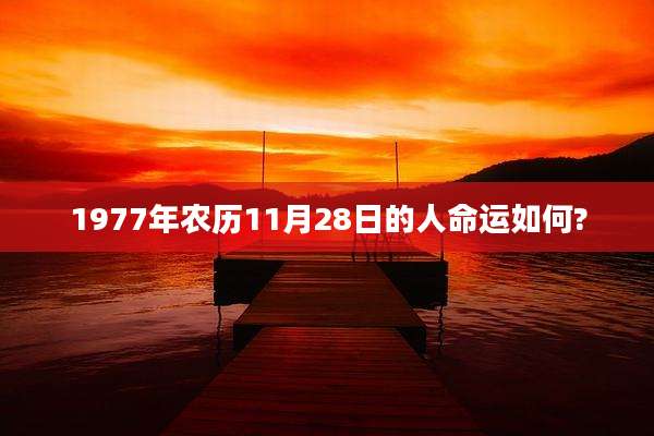 1977年农历11月28日的人命运如何?