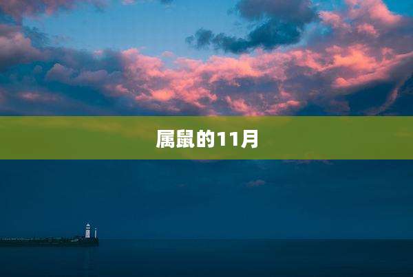 属鼠的11月