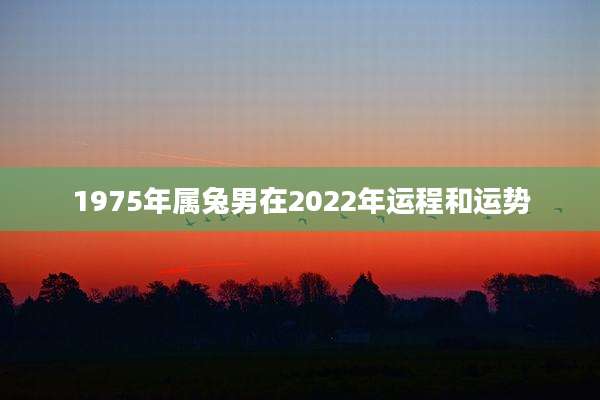 1975年属兔男在2022年运程和运势