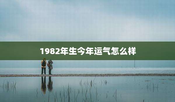 1982年生今年运气怎么样