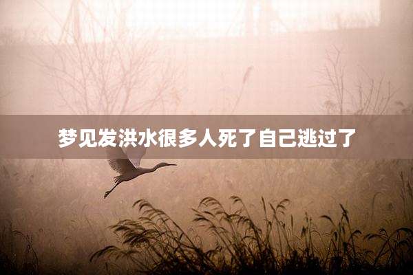 梦见发洪水很多人死了自己逃过了