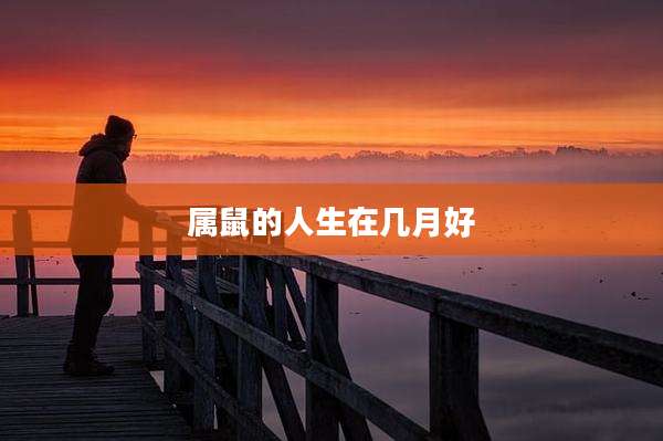 属鼠的人生在几月好