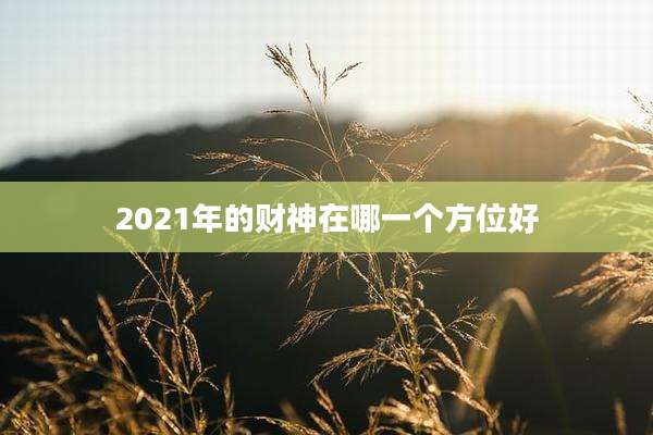 2021年的财神在哪一个方位好